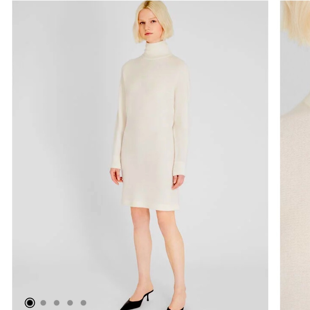 Cashmere Turtleneck Mini Dress